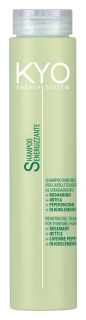 KYO šampon na vlasy ENERGYSYSTEM 250ml